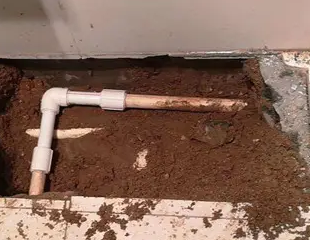 寻甸测漏水哪家好