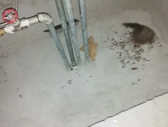 寻甸卫生间测漏水价格明细