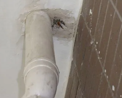 寻甸漏水检测哪家好